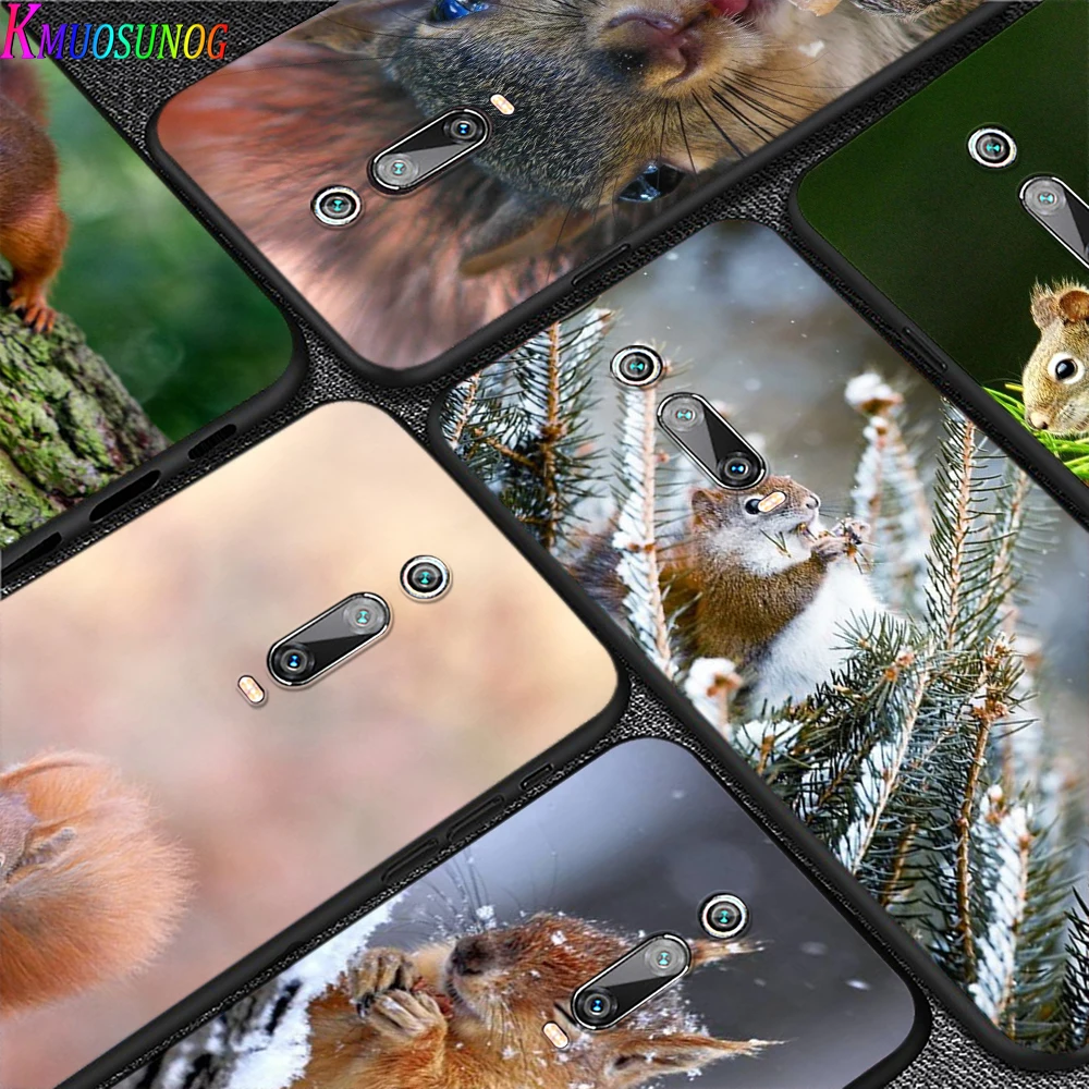Cute Squirrel Nature for Xiaomi Redmi 10X 9 Prime 9C 9A 8 8A 7 6 5 4X 4 K20 Pro K30 Ultra 7A 6A 6 S2 5A Plus GO Phone Case
Cute Squirrel Nature for Xiaomi Redmi 10X 9 Prime 9C 9A 8 8A 7 6 5 4X 4 K20 Pro K30 Ultra 7A 6A 6 S2 5A Plus GO Phone Case