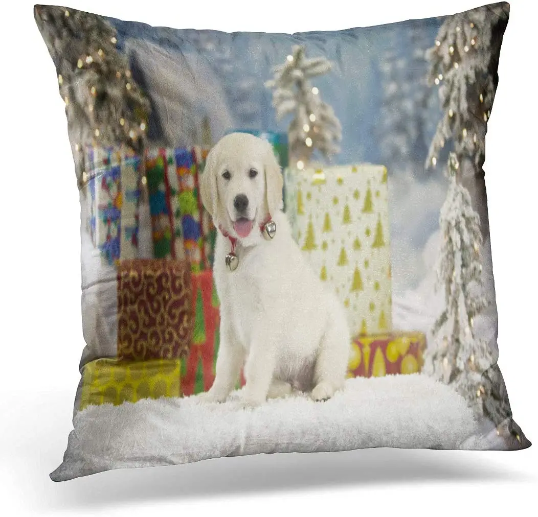 Emvency Throw Pillow Cover Christmas Yellow Labrador Puppy Sits in The Snow Front Decorative Pillow Case Home Decor Square 
Emvency Throw Pillow Cover Christmas Yellow Labrador Puppy Sits in The Snow Front Decorative Pillow Case Home Decor Square
