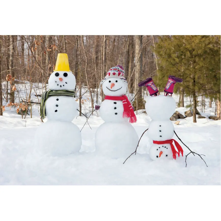 Winter Forest Decor Backdrop Forest Snowman Photography Background Winter Natural Snowflake Xmas Party Decoration Photo Booth
Winter Forest Decor Backdrop Forest Snowman Photography Background Winter Natural Snowflake Xmas Party Decoration Photo Booth