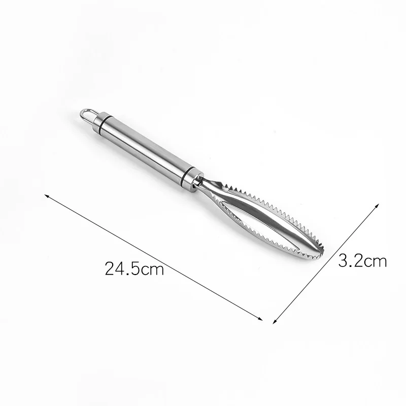 Stainless Steel Fish Scaler Lightweight Anti Rust Sawteeth Fish Scale Remover Cleaning Scaler Kitchen Tool for Home
Stainless Steel Fish Scaler Lightweight Anti Rust Sawteeth Fish Scale Remover Cleaning Scaler Kitchen Tool for Home