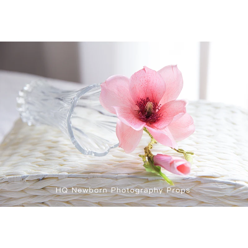 Newborn Photography Vintage Lamp Baby Photo Phooting Prop Artificial flower Props Studio Accessories Retro Mini Small Decoration
Newborn Photography Vintage Lamp Baby Photo Phooting Prop Artificial flower Props Studio Accessories Retro Mini Small Decoration