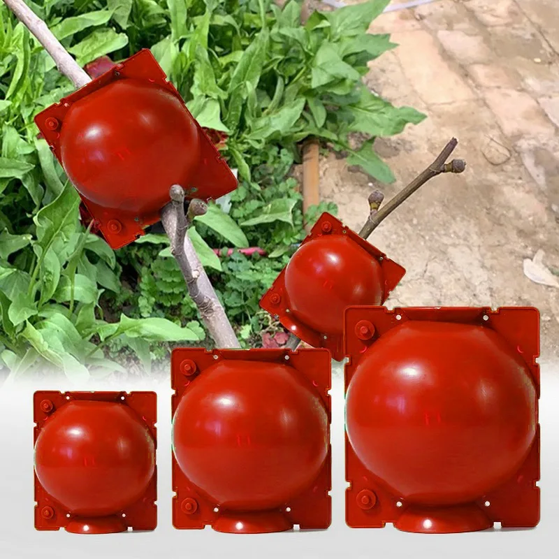 1/5Pcs Plant Rooting Growing Box Plant Grafting Rooting Ball Garden Plant High-pressure Propagation Growing Box Breeding Case
1/5Pcs Plant Rooting Growing Box Plant Grafting Rooting Ball Garden Plant High-pressure Propagation Growing Box Breeding Case