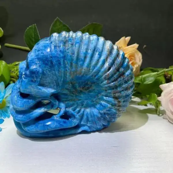 Natural Crystal blue apatite skulls,Hand carved ,New style, for Decoration and Furnishing articles
Natural Crystal blue apatite skulls,Hand carved ,New style, for Decoration and Furnishing articles
