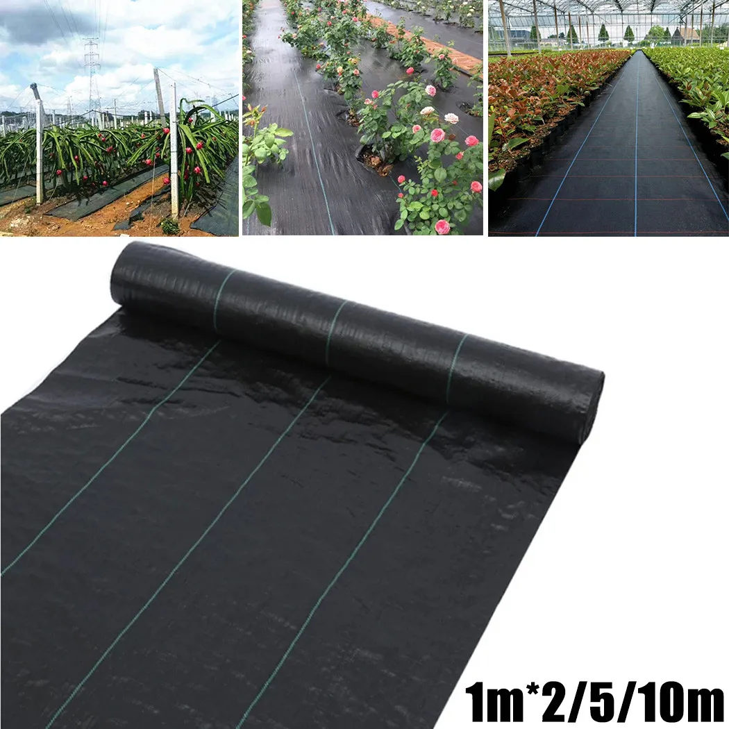 1pc Black 1mX2m 1mx5m Barrier Control Ground Cover Driveway Membrane Fabric Heavy Duty Weed Control Fabric
1pc Black 1mX2m 1mx5m Barrier Control Ground Cover Driveway Membrane Fabric Heavy Duty Weed Control Fabric