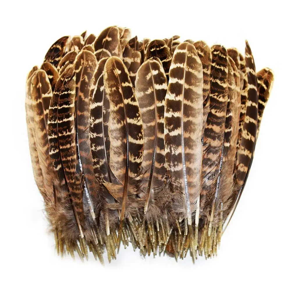 Natural Pheasant Feather for Clothes 4-6"/10-15CM High Quality Dyed Female Feathers for Crafts Jewelry Accessories Cheap Plumes
Natural Pheasant Feather for Clothes 4-6"/10-15CM High Quality Dyed Female Feathers for Crafts Jewelry Accessories Cheap Plumes