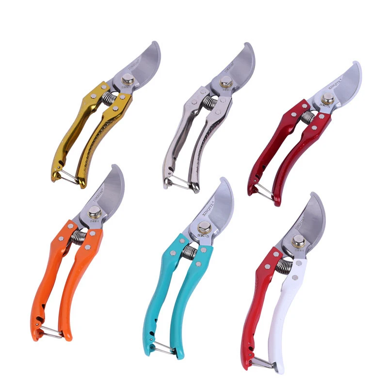 Pruning Scissors Fruit Branch Shears Orchard Spring Scissors Repair Flowers Home Durable Garden Tool Garden Flower Plant Cutting
Pruning Scissors Fruit Branch Shears Orchard Spring Scissors Repair Flowers Home Durable Garden Tool Garden Flower Plant Cutting