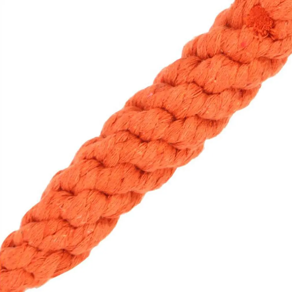 Cute Adorable Pet Chew Toy Straw Carrot For Hamster Guinea Pig Rabbit Rat Animal Supplies Corn Pets Pet Toys
Cute Adorable Pet Chew Toy Straw Carrot For Hamster Guinea Pig Rabbit Rat Animal Supplies Corn Pets Pet Toys