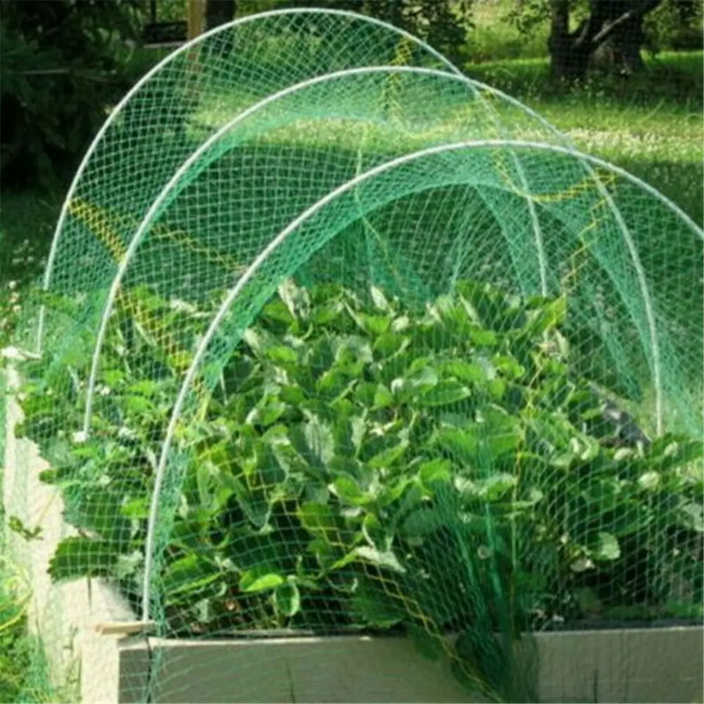 Anti Bird Netting Garden Fruit Cage Crop Veg Pond Protection Mesh Plant Garden Supplies mesh for cage birds
Anti Bird Netting Garden Fruit Cage Crop Veg Pond Protection Mesh Plant Garden Supplies mesh for cage birds