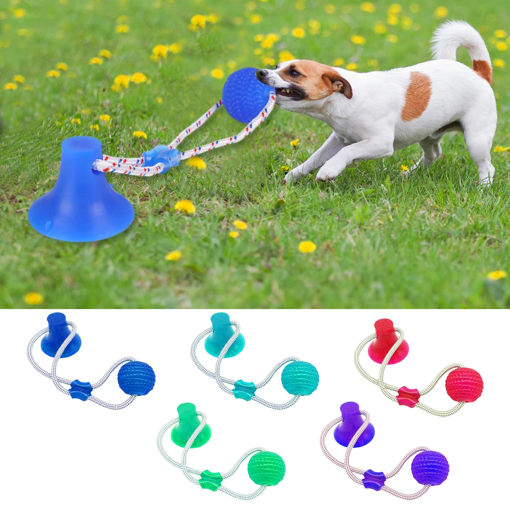Pet Toys Silicon Suction Cup Dog Push Toy with TPR Ball Pet Tooth Cleaning Chewing Rubber Dog Toys for Small Dogs Rubber Dog Toy
Pet Toys Silicon Suction Cup Dog Push Toy with TPR Ball Pet Tooth Cleaning Chewing Rubber Dog Toys for Small Dogs Rubber Dog Toy