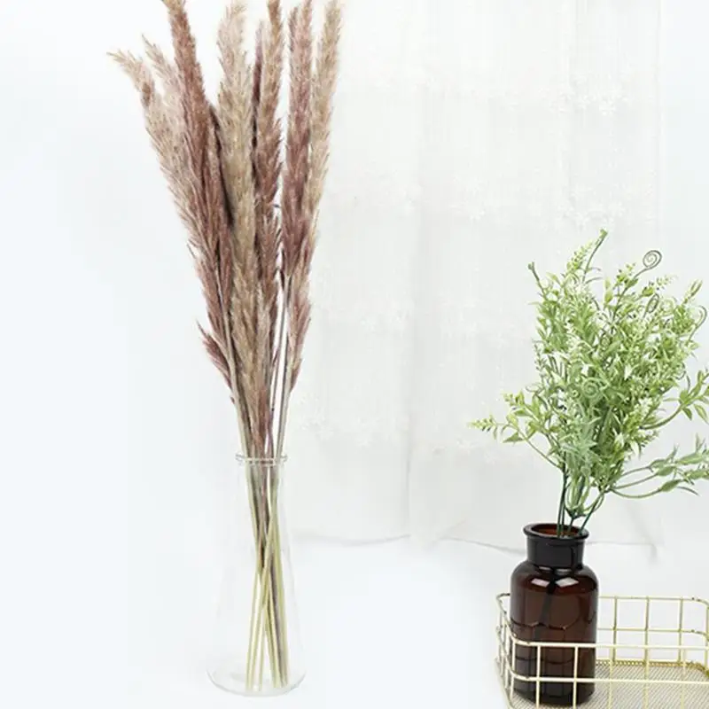 15pcs Natural Real Pampas Grass Large Size Dried Flowers Christmas Wedding Thanksgiving Day Decor Flowers Bouquet Color Reed
15pcs Natural Real Pampas Grass Large Size Dried Flowers Christmas Wedding Thanksgiving Day Decor Flowers Bouquet Color Reed