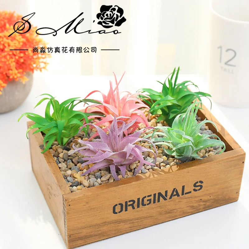 Succulent plant whorl flower creative DIY accessories flower arrangement decoration plant family decoration
Succulent plant whorl flower creative DIY accessories flower arrangement decoration plant family decoration