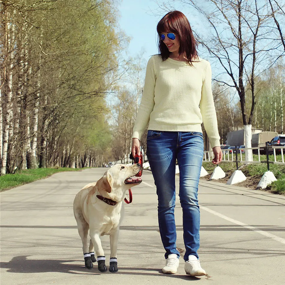 2020 New High Quality Waterproof Warm Big Dog Shoes 4pcs/set Non-Slip Boots for Large Pet Winter Spring Walking Dog Pets Shoes
2020 New High Quality Waterproof Warm Big Dog Shoes 4pcs/set Non-Slip Boots for Large Pet Winter Spring Walking Dog Pets Shoes