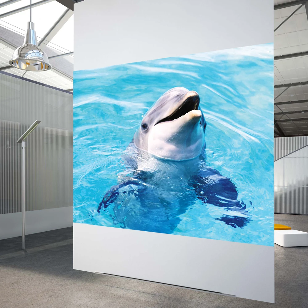 HOHOFILM 152x100 см белая голографическая проекционная Пленка ПЭТ пленка для задней проекции белая клейкая пленка Prortable наклейка
HOHOFILM 152x100 см белая голографическая проекционная Пленка ПЭТ пленка для задней проекции белая клейкая пленка Prortable наклейка