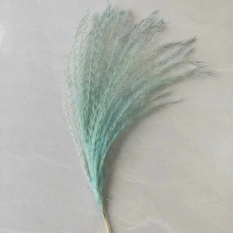 10pcs Natural Pampas Grass Decor Flower Dried Plants Wedding Flowers Bunch Christmas Home Decor Colorful Phragmites Communis
10pcs Natural Pampas Grass Decor Flower Dried Plants Wedding Flowers Bunch Christmas Home Decor Colorful Phragmites Communis