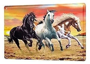 Retro Vintage Bar Metal Tin Signs,20x30inches,Wild Horse Mustang Prairie. Decor for Coffee Office Pool Yard Public
Retro Vintage Bar Metal Tin Signs,20x30inches,Wild Horse Mustang Prairie. Decor for Coffee Office Pool Yard Public