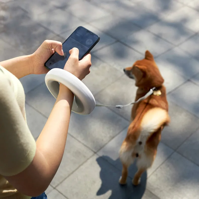 Dog Leash Automatic Retractable With Light Strong Harness Pet Dog High Quality Leash For Cats Outdoor Led Pet Dog Leash Dog Rope
Dog Leash Automatic Retractable With Light Strong Harness Pet Dog High Quality Leash For Cats Outdoor Led Pet Dog Leash Dog Rope
