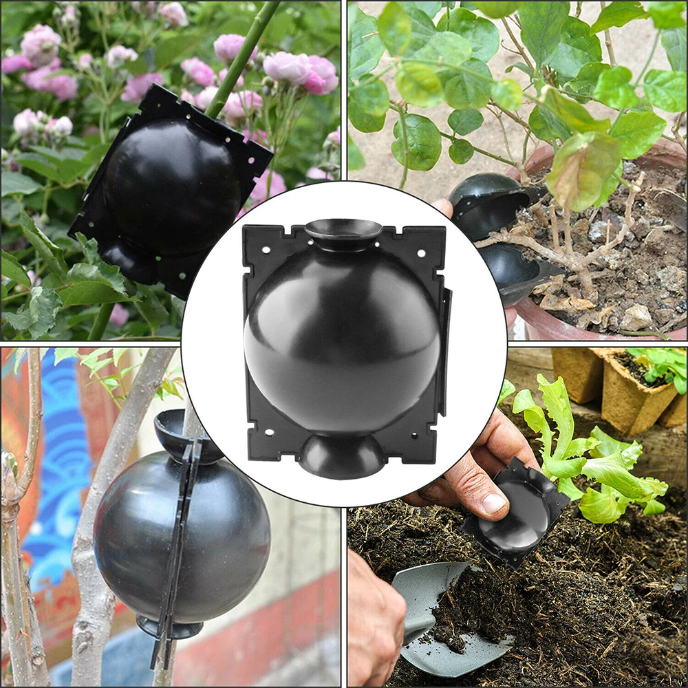 6PCS Plant Rooting Device Pressure Propagation Ball Grafting For Roses Trees Fruit Bushes Botany Root Controller Growing Box
6PCS Plant Rooting Device Pressure Propagation Ball Grafting For Roses Trees Fruit Bushes Botany Root Controller Growing Box