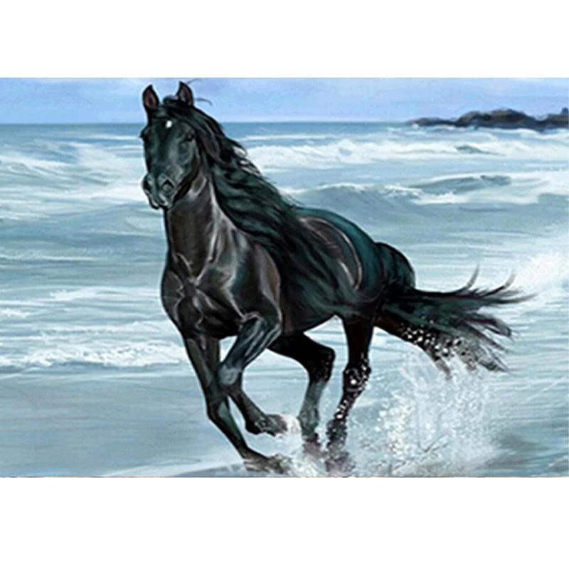 Home Decoration 5D DIY Diamond Painting Horse Diamond Embroidery Mosaic Rhinestone Picture Diamond Embroidery
Home Decoration 5D DIY Diamond Painting Horse Diamond Embroidery Mosaic Rhinestone Picture Diamond Embroidery