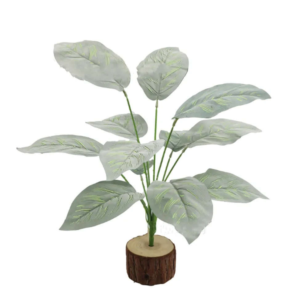 Simulation Plant 46cm Peacock Sunflower Window Restaurant Hotel Plant Wall Background Decoration Simulation Flowers and Grass
Simulation Plant 46cm Peacock Sunflower Window Restaurant Hotel Plant Wall Background Decoration Simulation Flowers and Grass