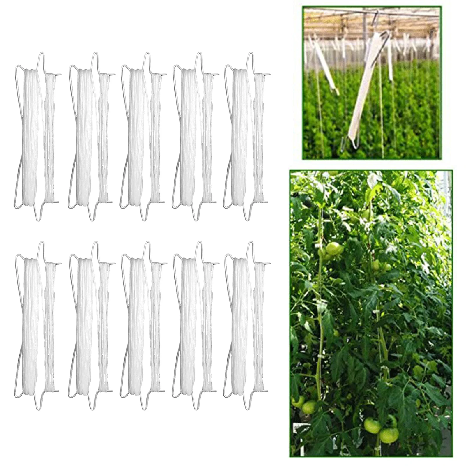 10Tomato Hook Tomato Support Clips Vegetable Support Garden Tomato Hooks Vegetable Support Hook Prevent Tomatoe from Pinching
10Tomato Hook Tomato Support Clips Vegetable Support Garden Tomato Hooks Vegetable Support Hook Prevent Tomatoe from Pinching