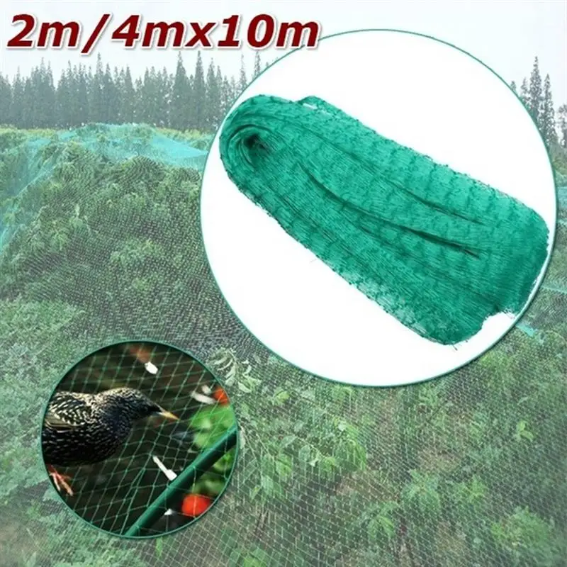 Bird Netting 4x5/10/12cm Polyethylene Trees Fruits Crop Plants Protective Mesh Cover Anti Bird Net for Graden Orchard
Bird Netting 4x5/10/12cm Polyethylene Trees Fruits Crop Plants Protective Mesh Cover Anti Bird Net for Graden Orchard