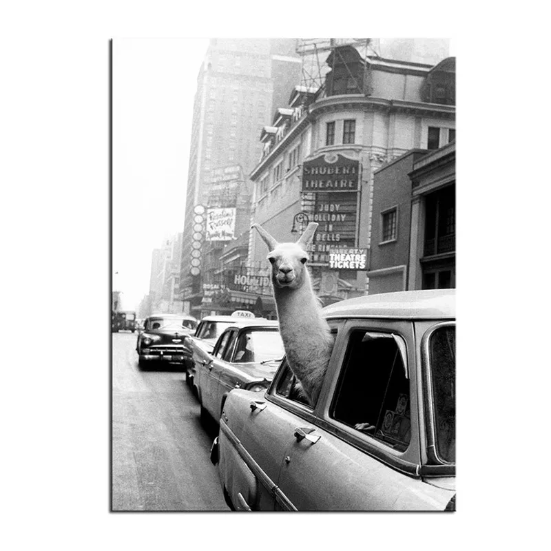 Interesting Alpaca Canvas Paintings In New York City Art Murals In Chico's Bedroom Draw Core Adornment Picture Personality
Interesting Alpaca Canvas Paintings In New York City Art Murals In Chico's Bedroom Draw Core Adornment Picture Personality