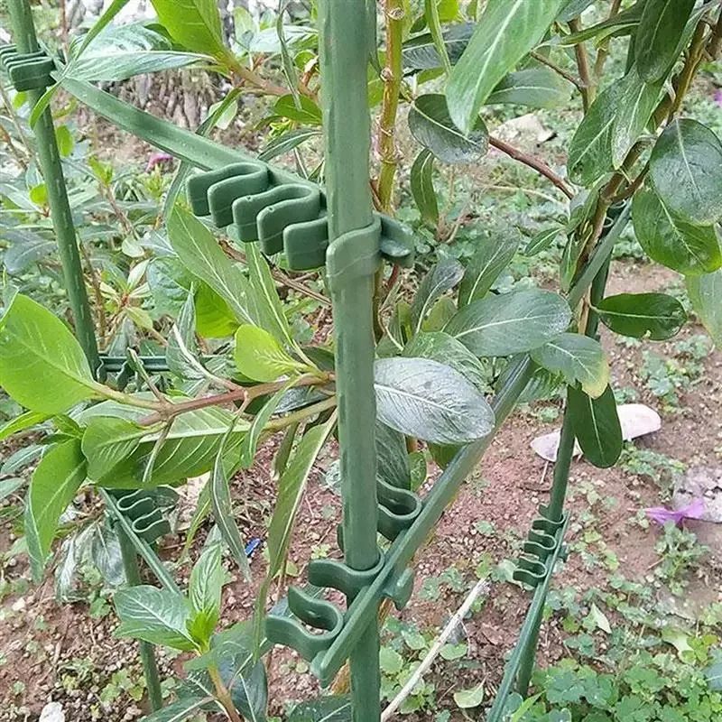 Cucumber Support Buckle Adjustable Tomato Climbing Vine Plant Trellis Connecting Buckle 50Pcs
Cucumber Support Buckle Adjustable Tomato Climbing Vine Plant Trellis Connecting Buckle 50Pcs