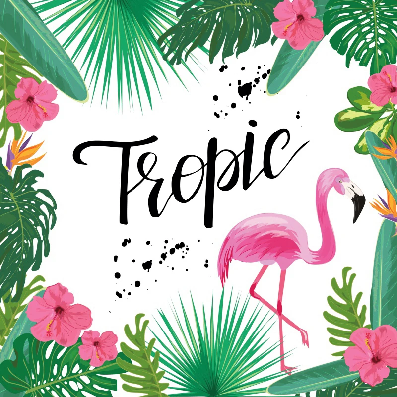Laeacco Pink Flamingo Birthday Party Tropical Jungle Palms Tree Leaves Poster Baby Photo Background Photo Backdrop Photo Studio
Laeacco Pink Flamingo Birthday Party Tropical Jungle Palms Tree Leaves Poster Baby Photo Background Photo Backdrop Photo Studio