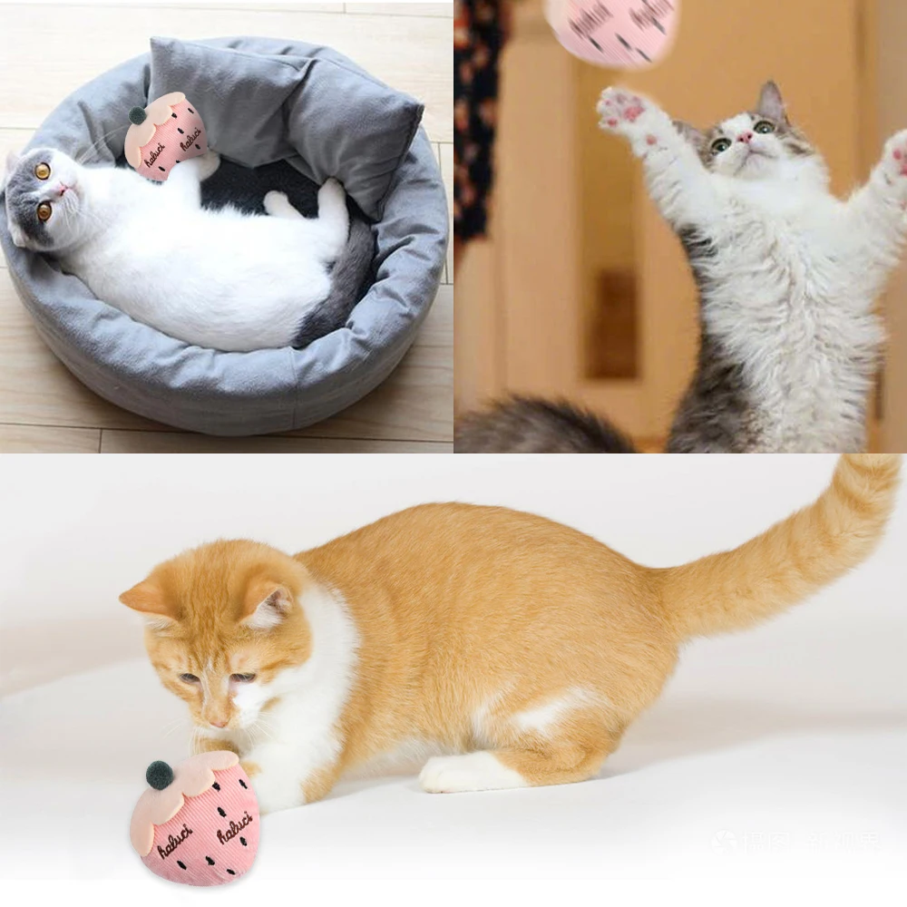 Cat Mini Plush Catnip Toy Bite Grinding Funny Interactive Toys For Pet Cat Claws Thumb Chewing Little Cartoons Kitten Gift Toy
Cat Mini Plush Catnip Toy Bite Grinding Funny Interactive Toys For Pet Cat Claws Thumb Chewing Little Cartoons Kitten Gift Toy