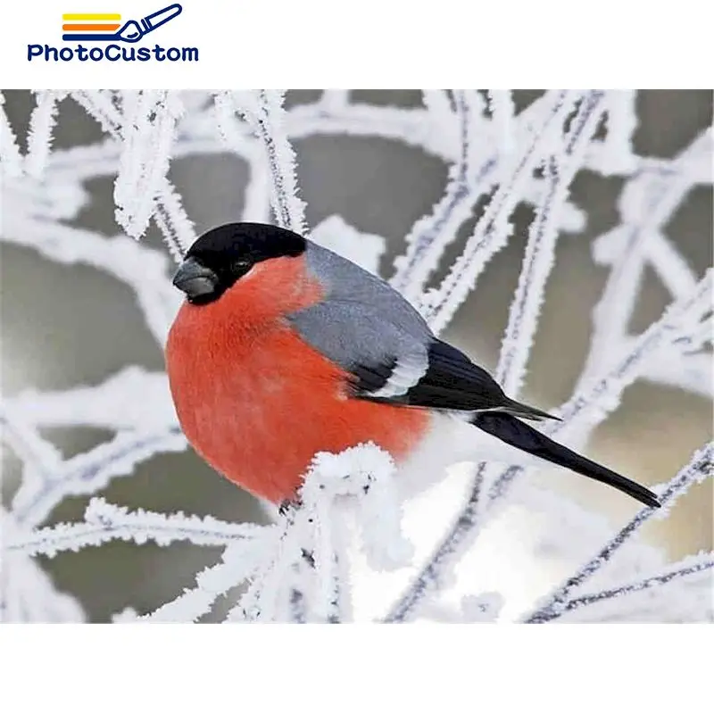 PhotoCustom DIY живопись по номерам Птица Животные Рисунок по номерам Декор для дома настенные картины
PhotoCustom DIY живопись по номерам Птица Животные Рисунок по номерам Декор для дома настенные картины