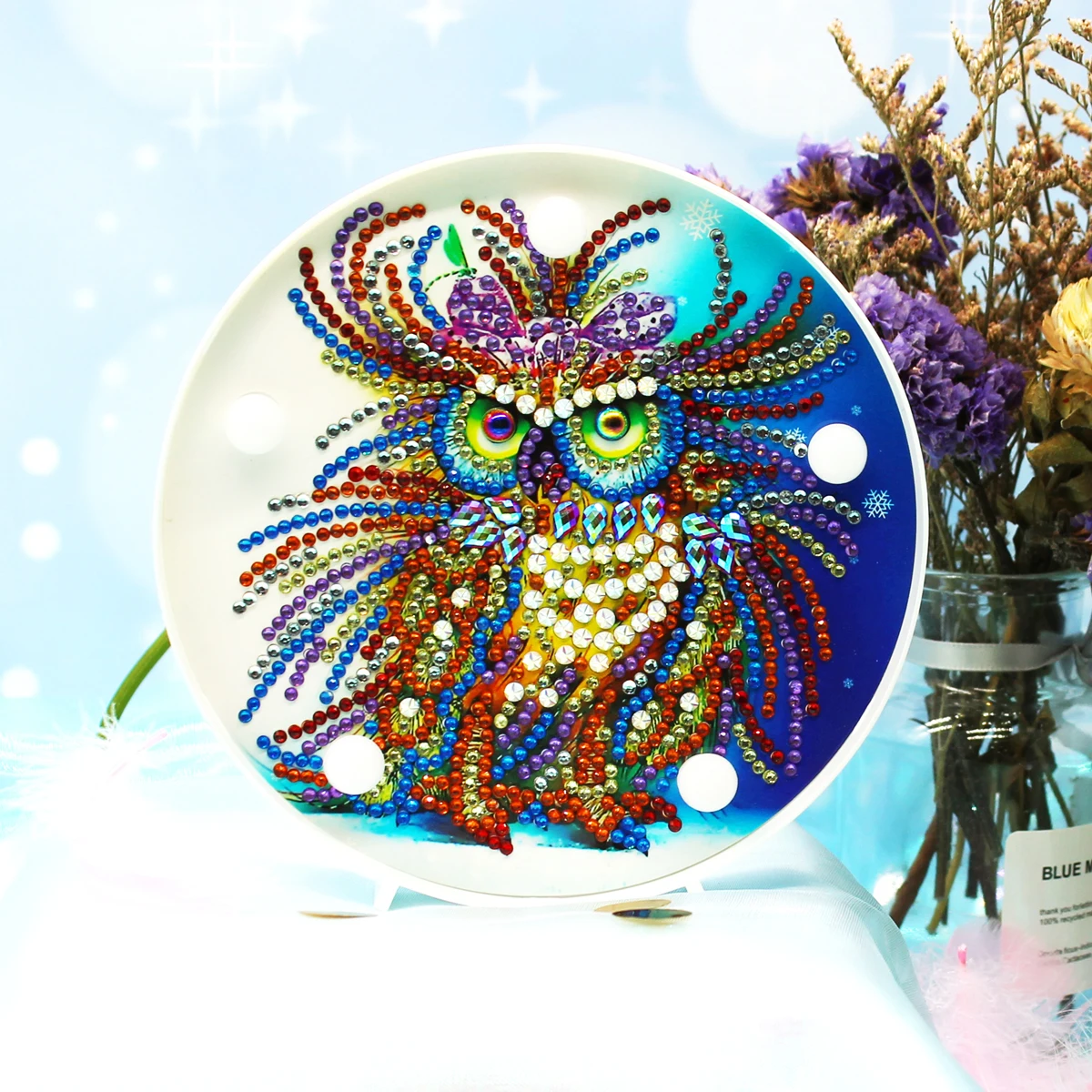 5D DIY Diamond Painting LED Lamp Cartoon Olw Special Shaped Diamond Mosaic Cross Stitch Embroidery Rhinestone Home Decor Light
5D DIY Diamond Painting LED Lamp Cartoon Olw Special Shaped Diamond Mosaic Cross Stitch Embroidery Rhinestone Home Decor Light