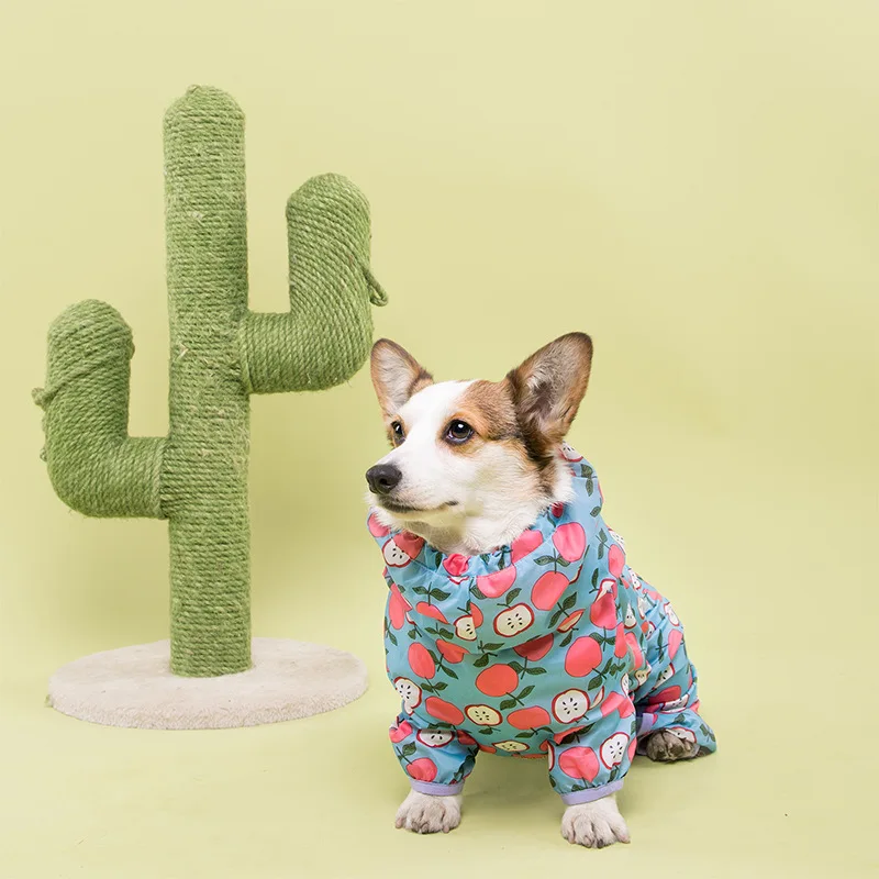 Pet Dog Clothes For Small Medium Large Dogs Clothing Raincoat with Reflective Strip Welsh Corgi Waterproof Coat Jumpsuit L-4XL
Pet Dog Clothes For Small Medium Large Dogs Clothing Raincoat with Reflective Strip Welsh Corgi Waterproof Coat Jumpsuit L-4XL
