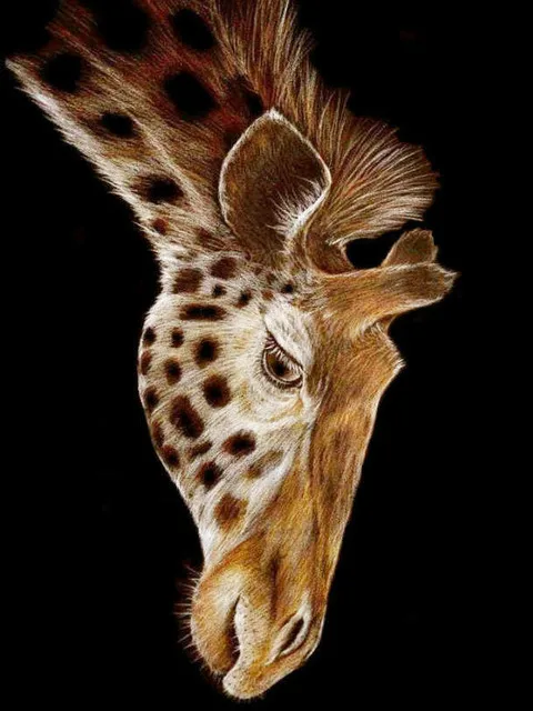 Scenic Diamond Art Paintings Blue Flower Sea Rose Butterflies Giraffe Aristocratic Dance Party Bedroom Living Room Poster
Scenic Diamond Art Paintings Blue Flower Sea Rose Butterflies Giraffe Aristocratic Dance Party Bedroom Living Room Poster