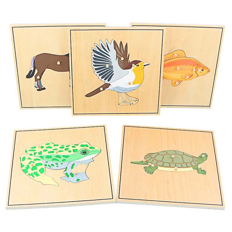 Children Educational Toys Montessori Materials Biology Wooden Skeleton Puzzle Frog Horse Tortiose Fish Bird Animal Toys for Boy
Children Educational Toys Montessori Materials Biology Wooden Skeleton Puzzle Frog Horse Tortiose Fish Bird Animal Toys for Boy