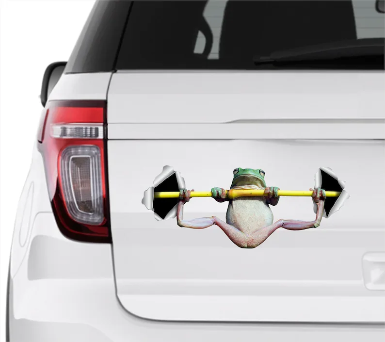 Car sticker Frog decal Color frog sticker Green frog sticker Car frog decal Auto decal Frog decoration
Car sticker Frog decal Color frog sticker Green frog sticker Car frog decal Auto decal Frog decoration