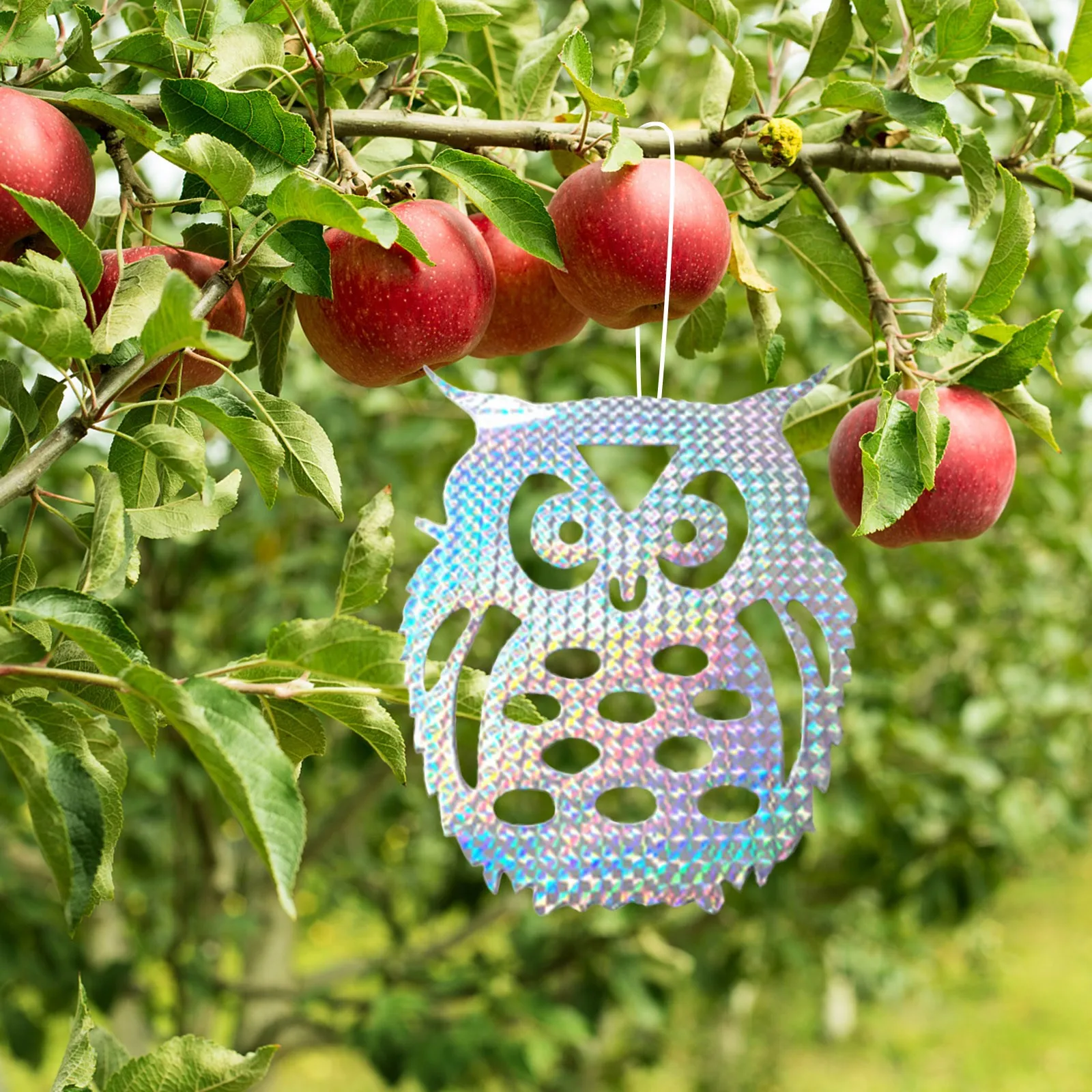 10PCS Sticky Owl Type Flashing Bird Repellent Piece Orchard Balcony Festive Atmosphere Hanging Decorations Home Room Decor Gift
10PCS Sticky Owl Type Flashing Bird Repellent Piece Orchard Balcony Festive Atmosphere Hanging Decorations Home Room Decor Gift