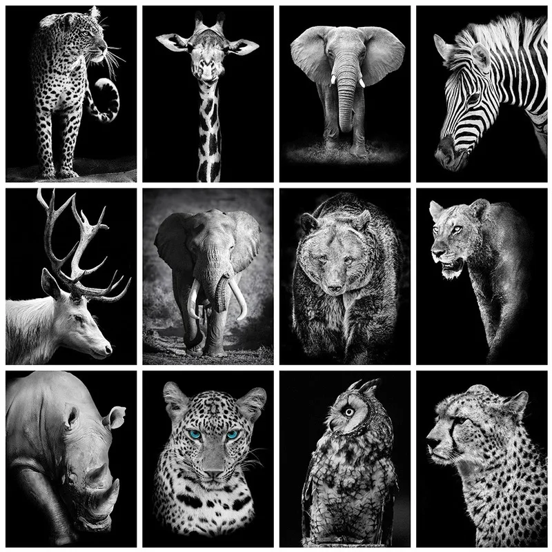 Diamond Painting Kits Black White Stitch 5D DIY Embroidery Animals Full Round With AB Drill Rhinestone Pictures Decoration Home
Diamond Painting Kits Black White Stitch 5D DIY Embroidery Animals Full Round With AB Drill Rhinestone Pictures Decoration Home