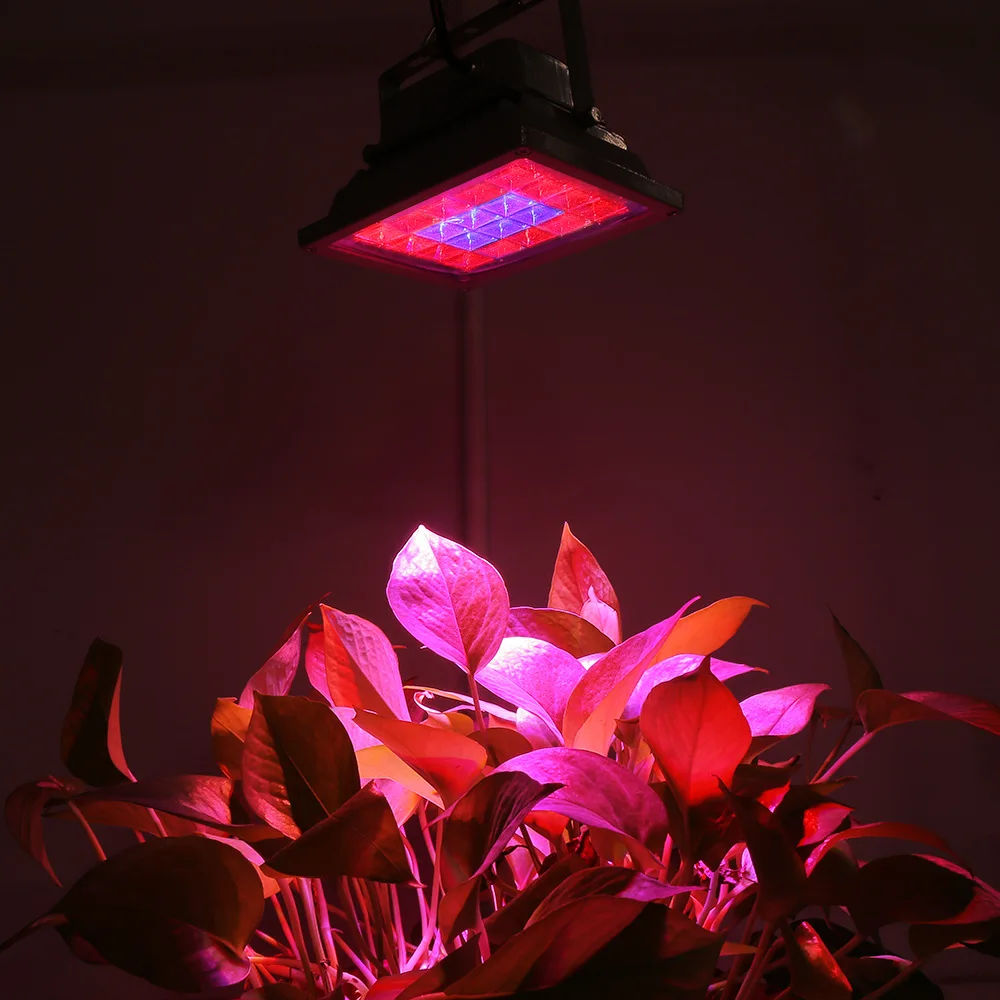 Professional Growing Lamps 40W 20 LEDs Lamp Beads Full Spectrum Panel Indoor Plants Pitaya Greenhouse Hydroponic Plant Lighting
Professional Growing Lamps 40W 20 LEDs Lamp Beads Full Spectrum Panel Indoor Plants Pitaya Greenhouse Hydroponic Plant Lighting