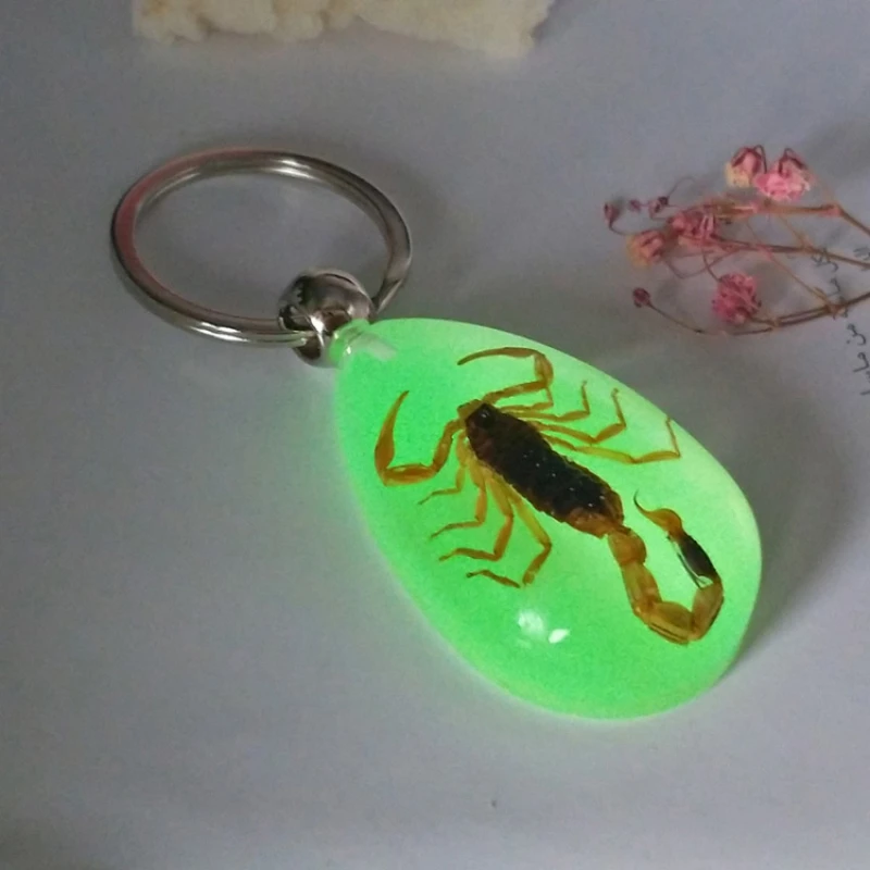 

New Fashion Luminous Scorpion Keychain - New Luminous Product Real Crab and Scorpion Key Chain bag Car key ring