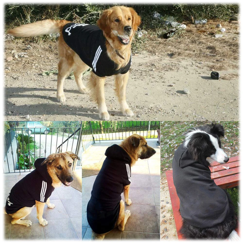 Big Pet Dog Clothes Winter Warm Dog Coat Jacket for Golden Retriever Labrador Husky French Bulldog Teddy Costume Pets Clothing
Big Pet Dog Clothes Winter Warm Dog Coat Jacket for Golden Retriever Labrador Husky French Bulldog Teddy Costume Pets Clothing