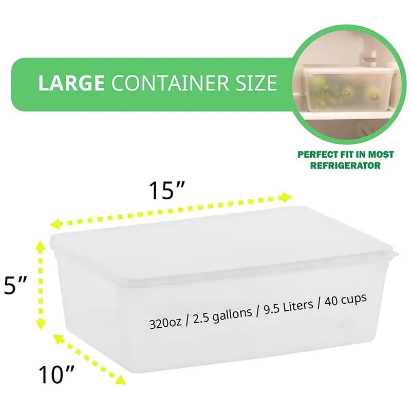 2 Pack Produce Saver Containers for Refrigerator, Pizza Dough Proofing Box,Vegetable Storage Containers for Refrigerator 
2 Pack Produce Saver Containers for Refrigerator, Pizza Dough Proofing Box,Vegetable Storage Containers for Refrigerator