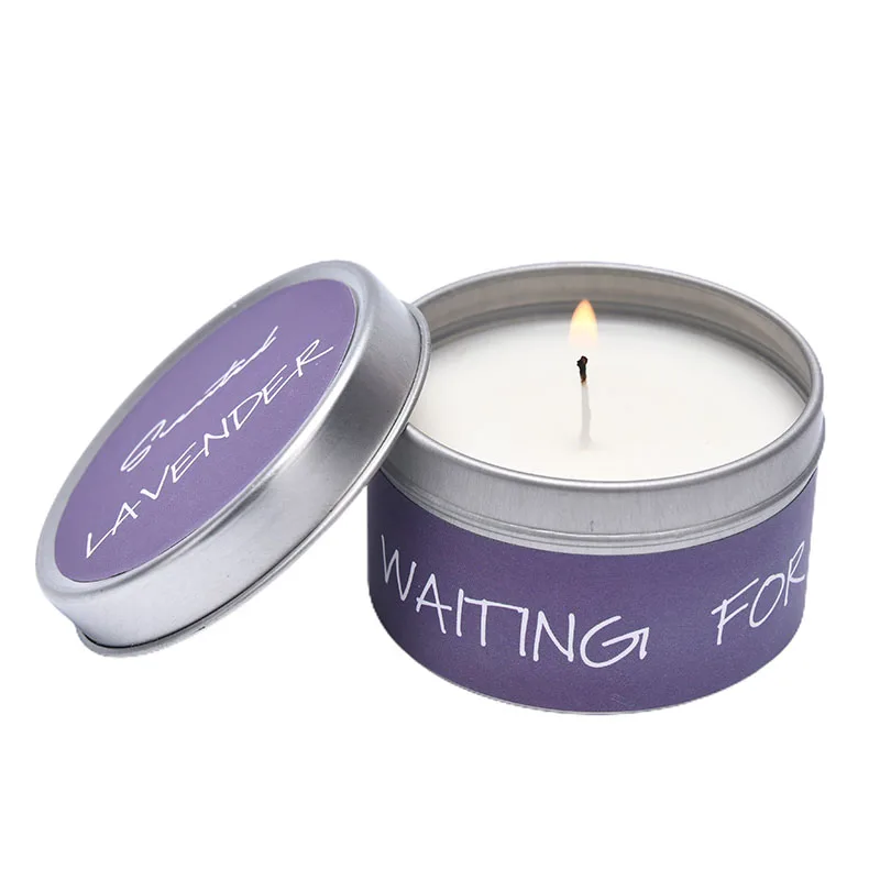 2021 NEW Handmade Candle Plant Essential Oil Small Jar Scented Travel Natural Soy Wax Home Deco 9styles | Дом и сад