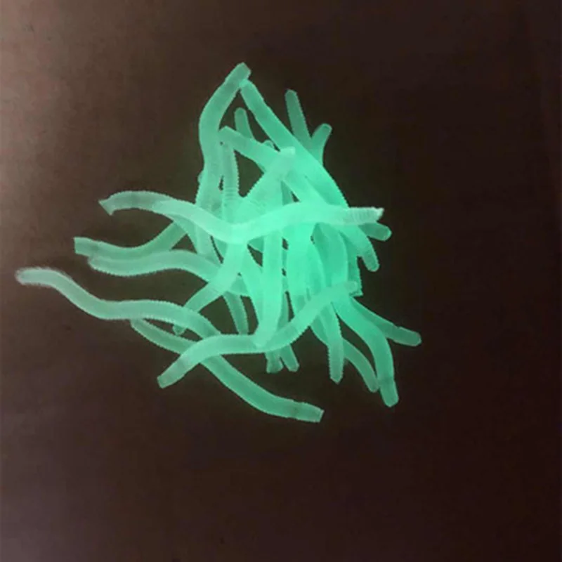 100PCS Fishy Noctilucent Worm Earthworm 4CM 0.2g Fake Soft Bait Reflective Simulation Freshwater Sea Fishing Lifelike Silica Gel
100PCS Fishy Noctilucent Worm Earthworm 4CM 0.2g Fake Soft Bait Reflective Simulation Freshwater Sea Fishing Lifelike Silica Gel