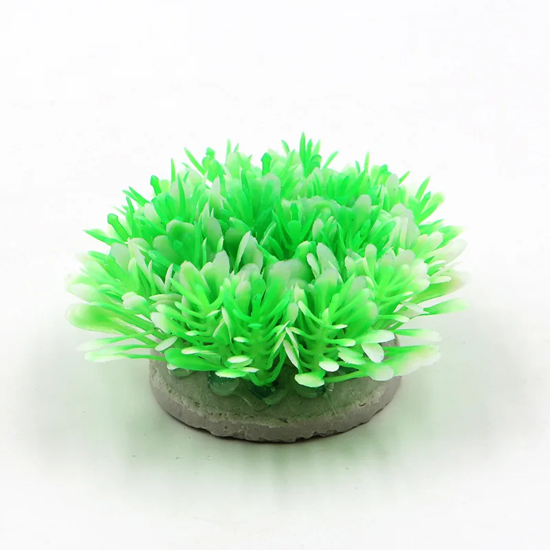 6pcs Mini Simulation Artificial Aquarium Plants Decoration Fish Tank Landscaping Aquascape Landscape Decor Weeds Accessories
6pcs Mini Simulation Artificial Aquarium Plants Decoration Fish Tank Landscaping Aquascape Landscape Decor Weeds Accessories