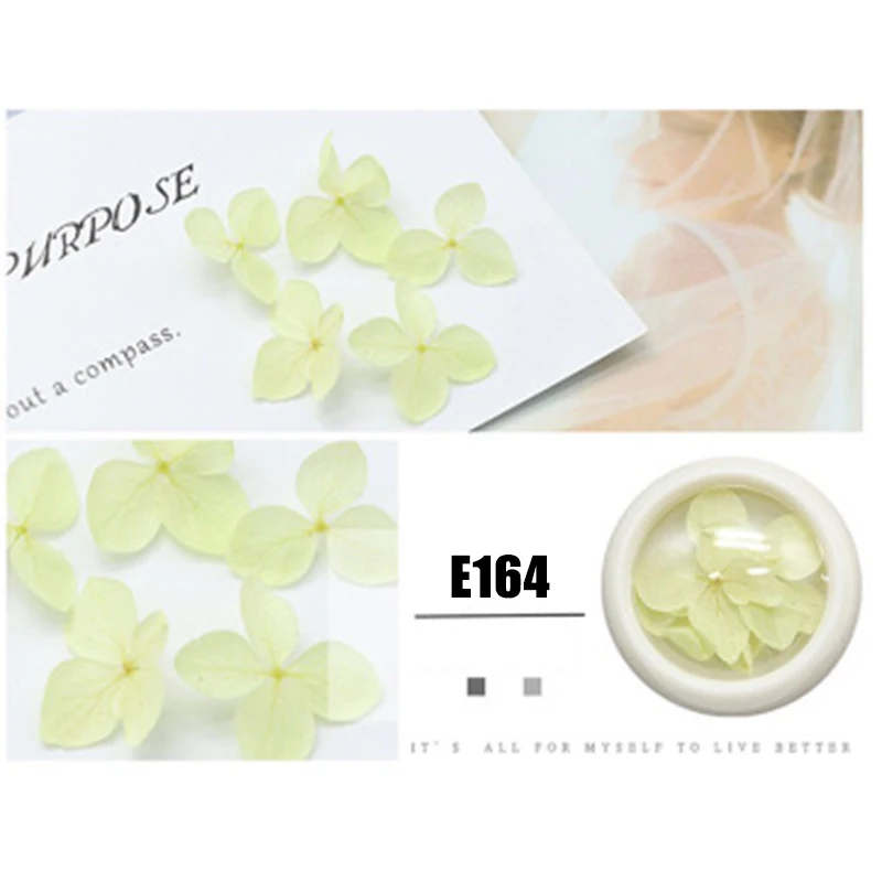 Hot sale Dried Flowers Nail Art Decoration DIY Floral Manicure Nail Tip 3D Decor 
Hot sale Dried Flowers Nail Art Decoration DIY Floral Manicure Nail Tip 3D Decor