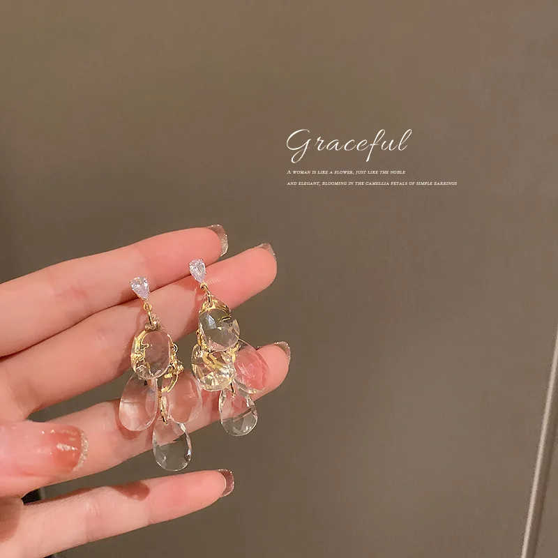 925 silver needle crystal zircon stud earrings exaggerated personality atmosphere earrings elegant ladies drop earrings
925 silver needle crystal zircon stud earrings exaggerated personality atmosphere earrings elegant ladies drop earrings