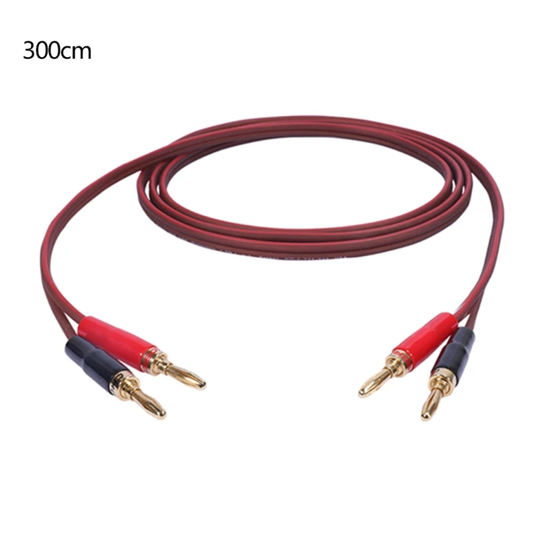 2021 New -Audio Gold Plated 2 Banana Plugs to 2 Banana Plugs Silver Plated Speaker Cable
2021 New -Audio Gold Plated 2 Banana Plugs to 2 Banana Plugs Silver Plated Speaker Cable