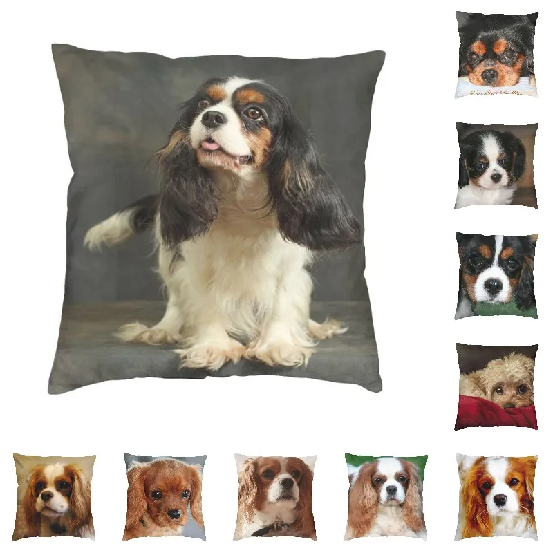 Роскошная наволочка для подушки Cavalier King Charles Spaniel, домашние декоративные подушки с животными для дивана, двухсторонняя подушка для стула с п...
Роскошная наволочка для подушки Cavalier King Charles Spaniel, домашние декоративные подушки с животными для дивана, двухсторонняя подушка для стула с п...
