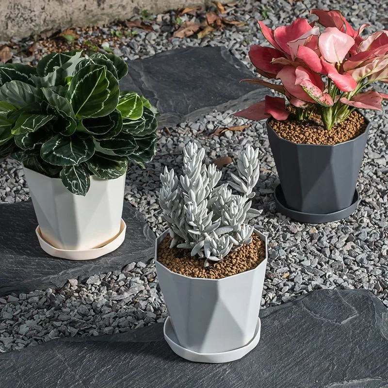 Imitation Ceramic Plastic Thickened Simple Creative Resin Fleshy Flower Pot Multifunctional Mini Flower Pot Garden Supplies
Imitation Ceramic Plastic Thickened Simple Creative Resin Fleshy Flower Pot Multifunctional Mini Flower Pot Garden Supplies