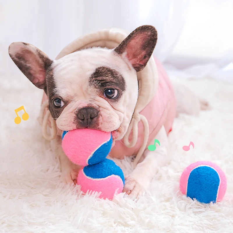 Pet Toy Cat Toy Dog Toy Elastic Vocal Tennis Toy Molar Bite Resistant Companion Toy Pet Supplies Dog Accessories Dog Supplies
Pet Toy Cat Toy Dog Toy Elastic Vocal Tennis Toy Molar Bite Resistant Companion Toy Pet Supplies Dog Accessories Dog Supplies